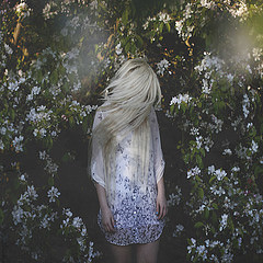 Alis and The Book of&nbsp;Spells