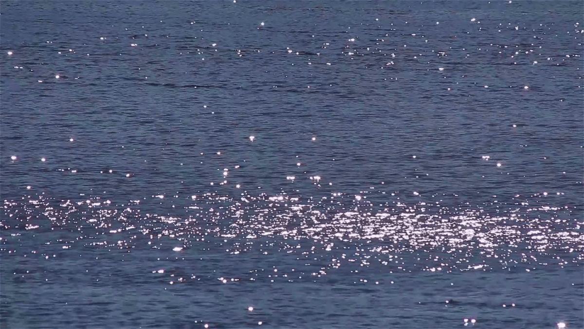 Early on the&nbsp;Bay